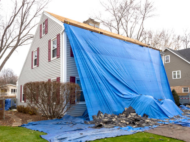 Best Custom Trim and Detailing for Siding  in Dogtown, CA