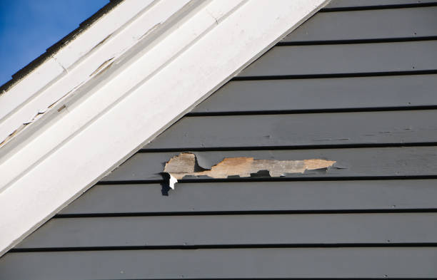 Best Stone Veneer Siding  in Dogtown, CA