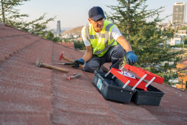 Best Residential Vinyl Siding Installation  in Dogtown, CA